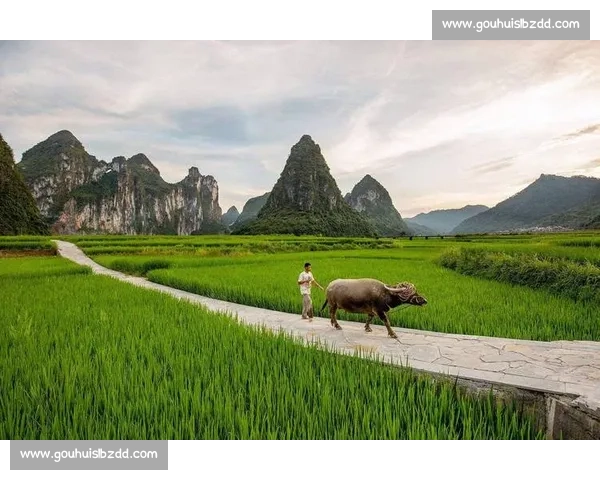 绿茵场的乡愁:我们爱的是家乡 绿茵场的乡愁:我们爱的是家乡