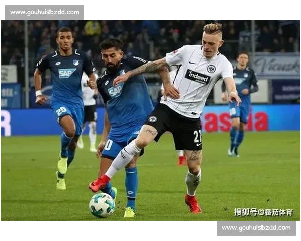 埃尔福特迎战霍芬海姆实力对决前瞻与赛场看点解析全方位观察