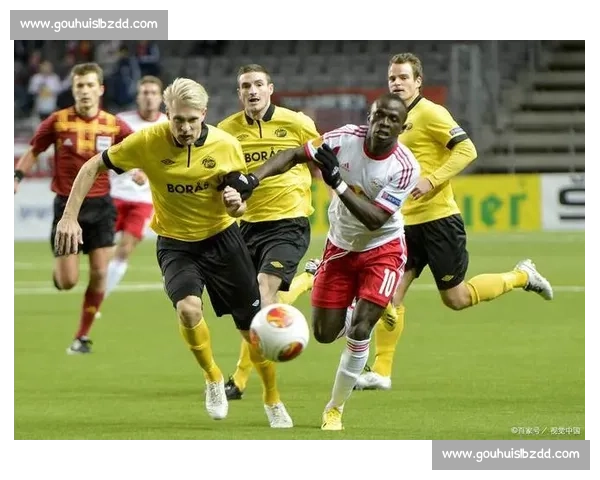 瑞士对阵冰岛焦点之战欧洲赛场实力与战术全面解析前瞻与走势判断