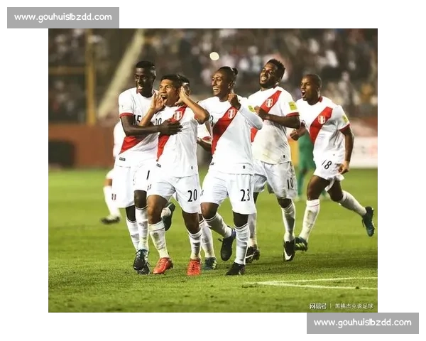 荷兰对阵秘鲁焦点之战解析两队战术与晋级前景世界杯小组赛关键较量